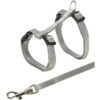 TRIXIE Junior kassipoja traksid rihmaga, 19-31 cm-8 mm, 1,20 m