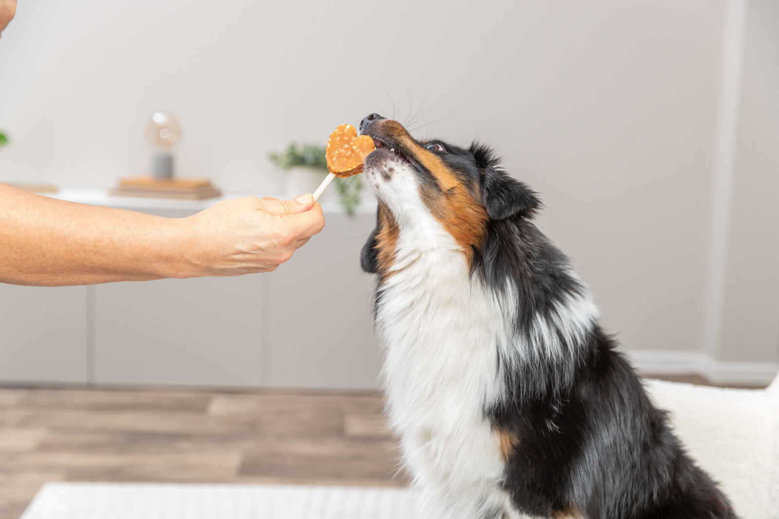 0009406-17-315435-trixie-premio-saldainis-ant-pagaliuko-su-vistiena-ir-ryziais-be-pakuotes-10-cm-35-g-minuzs