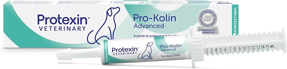 10198_66c06639b73742.67175920_prokolin