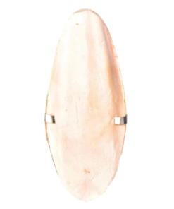 Seepia hoidjaga (lahtine)
