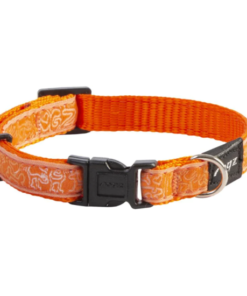 Kaelarihm Rogz Beach Bum L Orange Doodle 20mm/34-56cm