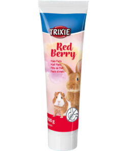 Maius närilistele Linnasepasta Red Berry, 100 g